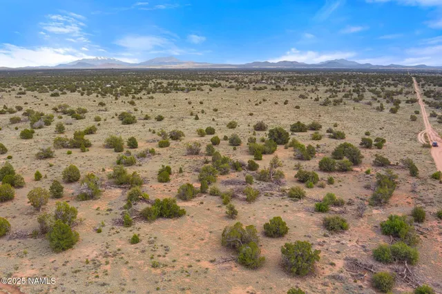 a view of a dry yard with trees in the background