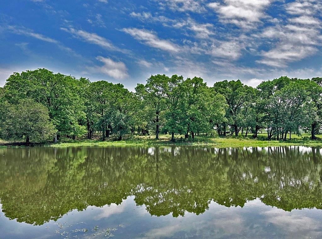 10466 Fm 3273 Athens, TX 75751 - Photo 18 of 24 a view of a lake from a yard