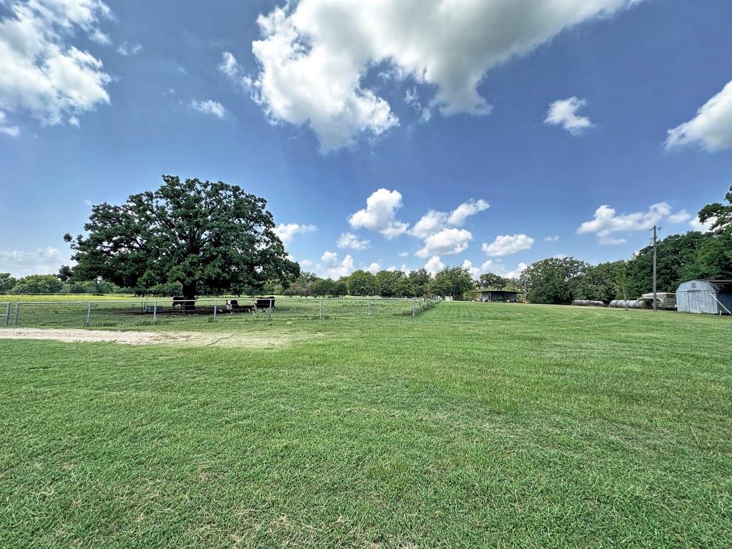 10466 Fm 3273 Athens, TX 75751 - Photo 20 of 24 a view of a green field