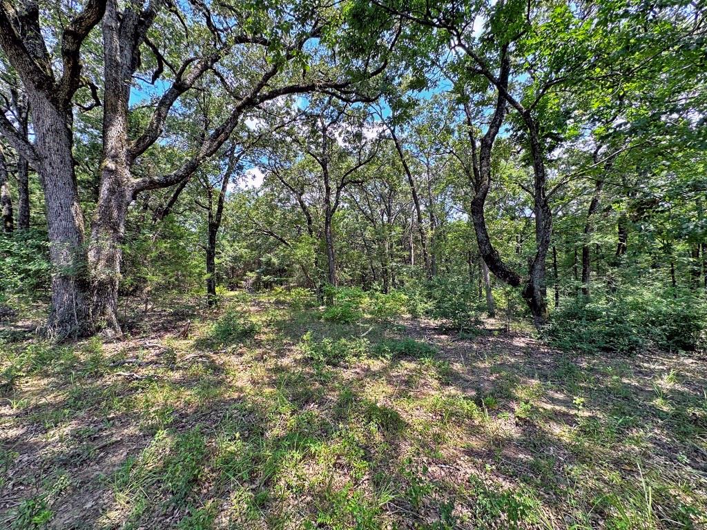 10466 Fm 3273 Athens, TX 75751 - Photo 21 of 24 a view of a forest with trees in the background