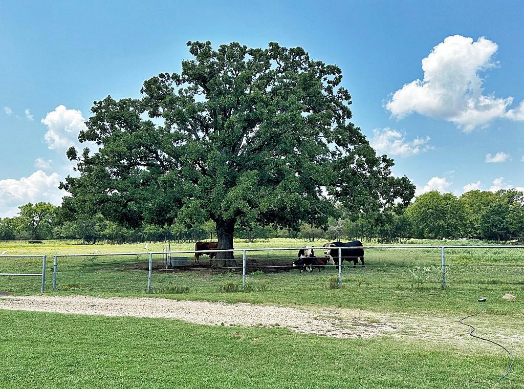 10466 Fm 3273 Athens, TX 75751 - Photo 22 of 24 a view of a house with a backyard