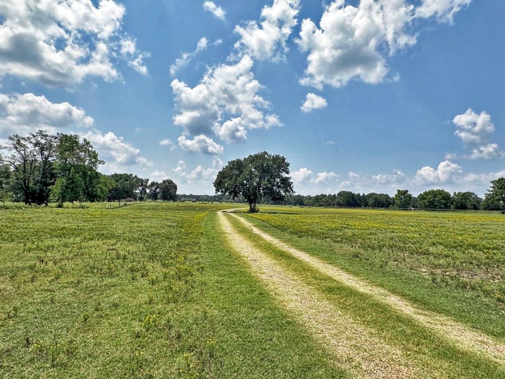 10466 Fm 3273 Athens, TX 75751 - Photo 23 of 24 a view of a golf course with lots of green space