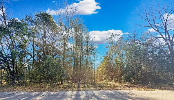 $35,000 | 475 Coleman Avenue, Orangeburg, SC 29115