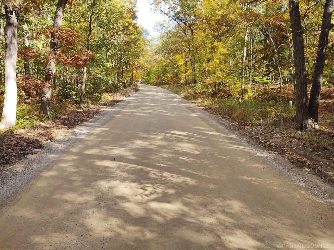 Sand Rd Port Port Austin, MI 48467 - Photo 5 of 5