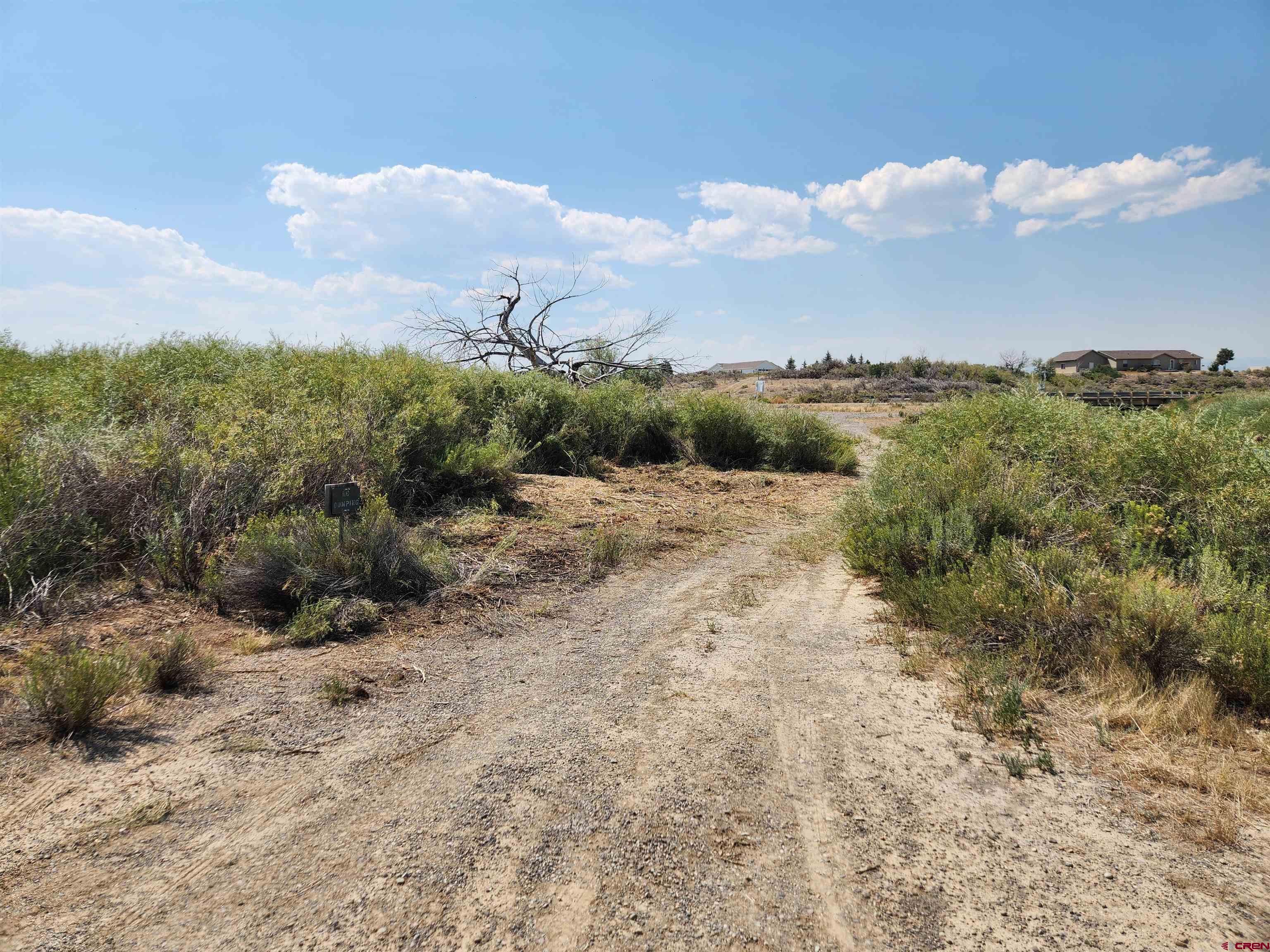 Lot 2 Locust Road Montrose, CO 81401 - Photo 12 of 12 a view of a dry yard with trees