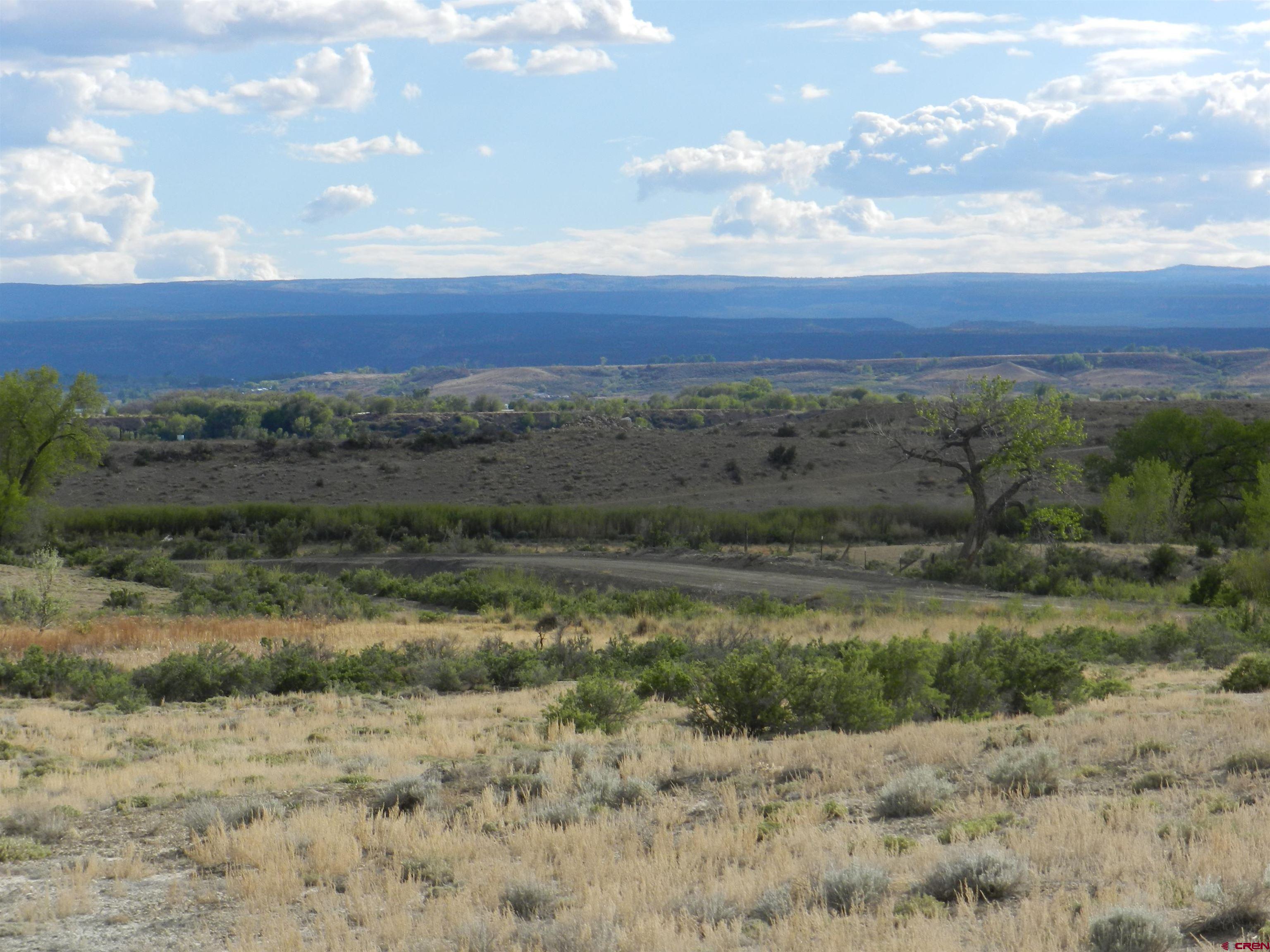 Lot 2 Locust Road Montrose, CO 81401 - Photo 8 of 12 a view of a field with a tree in it