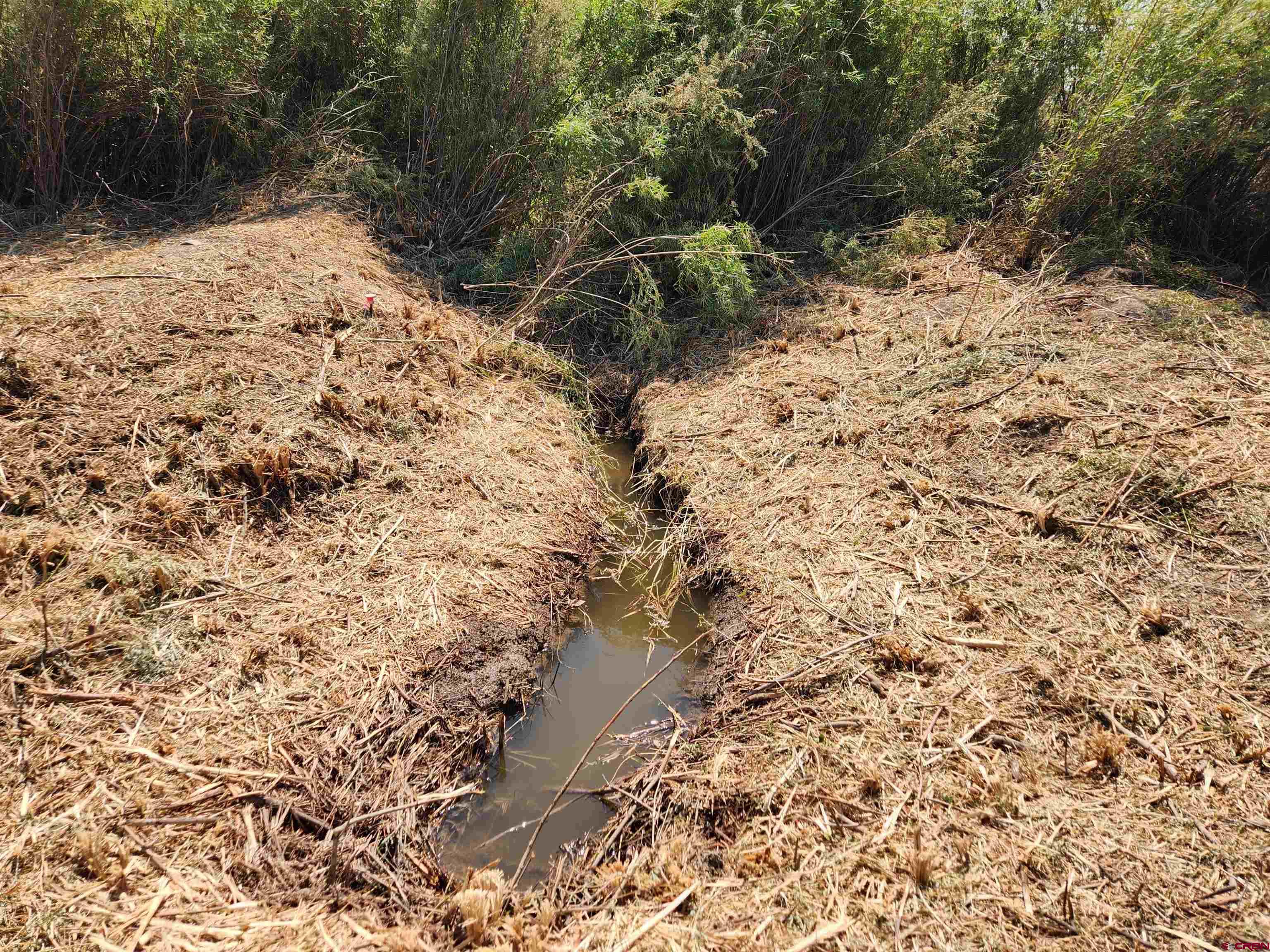 Lot 2 Locust Road Montrose, CO 81401 - Photo 9 of 12 a view of a yard covered in snow