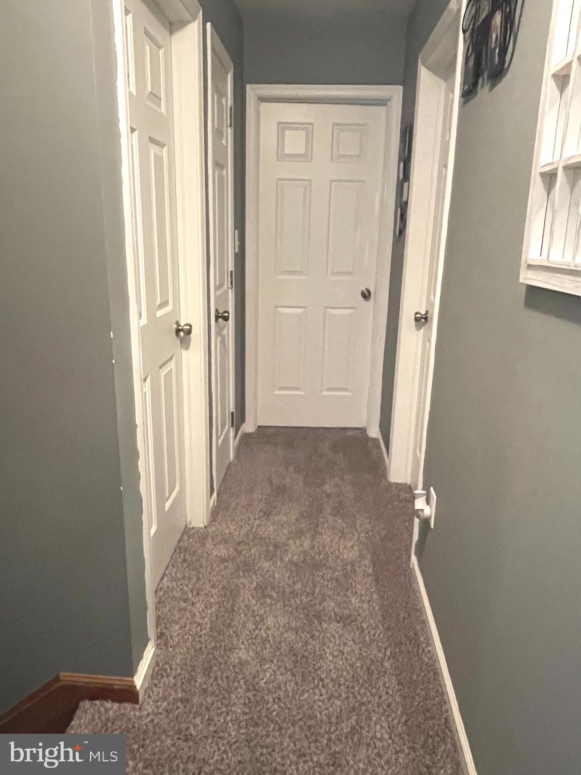 26757 Pratt Road Salisbury, MD 21801 - Photo 29 of 43 Hallway