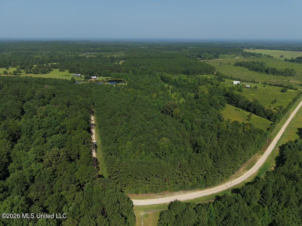 Remington Road Poplarville, MS 39470 - Photo 1 of 13 IMG_1611