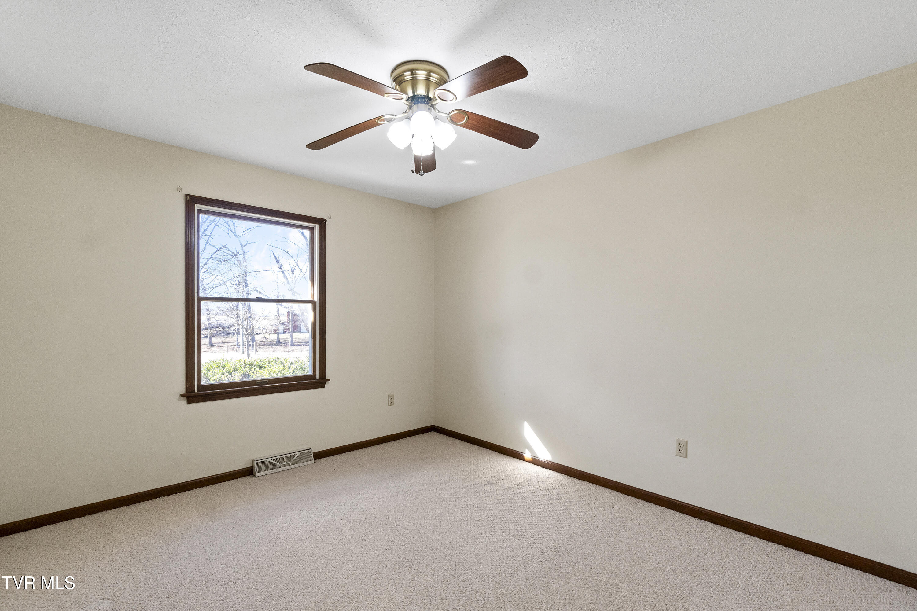 308 Norton Road Greeneville, TN 37745 - Photo 31 of 47 DSC08423