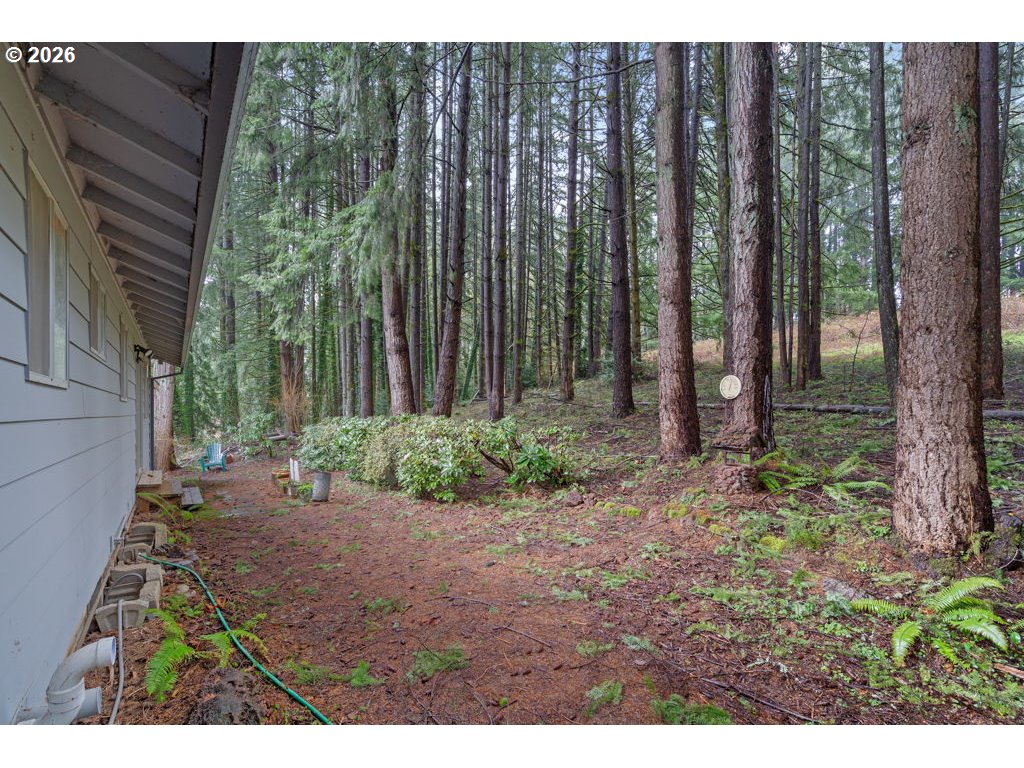 28850 Southeast Stone Road Boring, OR 97009 - Photo 37 of 48