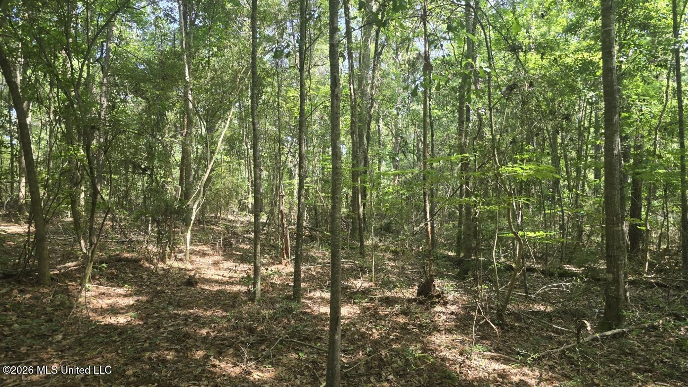 Addison Road State Line, MS 39362 - Photo 10 of 32 20260602_101108