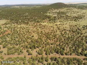$77,000 | N3263 Parcel 1, Vernon, AZ 85940