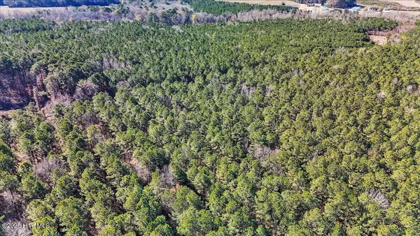 $15,000 | 0 Highway 158 Business, Gatesville, NC 27938