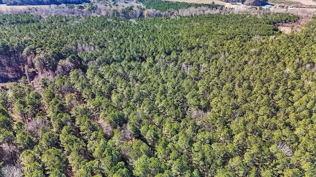 $15,000 | 0 Highway 158 Business, Gatesville, NC 27938