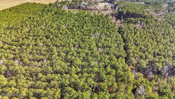 $15,000 | 0 Highway 158 Business, Gatesville, NC 27938