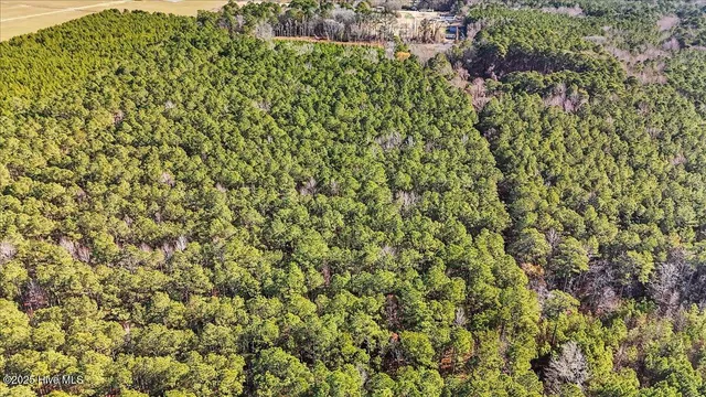 $15,000 | 0 Highway 158 Business, Gatesville, NC 27938