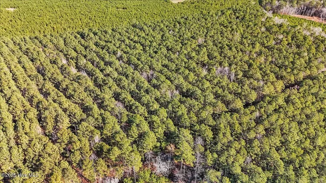 $15,000 | 0 Highway 158 Business, Gatesville, NC 27938