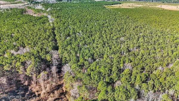 $15,000 | 0 Highway 158 Business, Gatesville, NC 27938