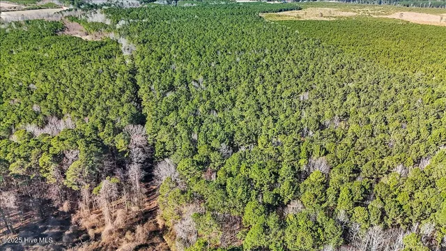 $15,000 | 0 Highway 158 Business, Gatesville, NC 27938