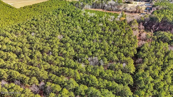 $15,000 | 0 Highway 158 Business, Gatesville, NC 27938