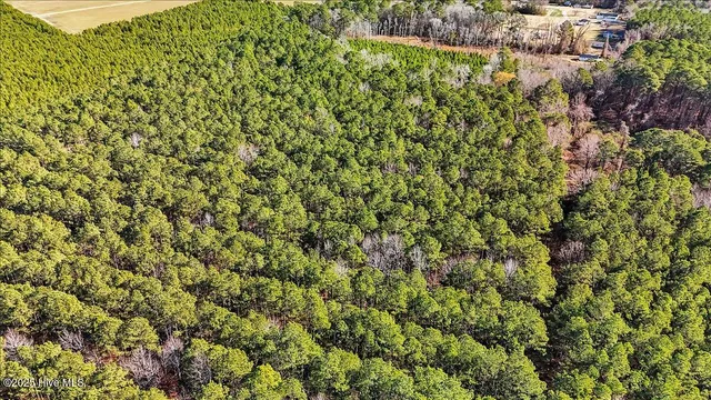 $15,000 | 0 Highway 158 Business, Gatesville, NC 27938