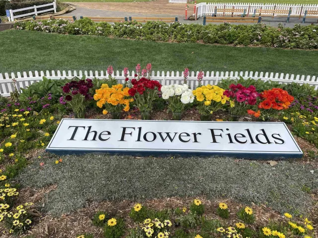 a street sign on the side of the river