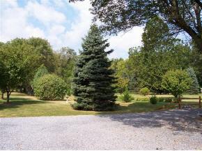 180 Dry Branch Road Churchville, VA 24421 - Photo 8 of 8 Gallery Image 8