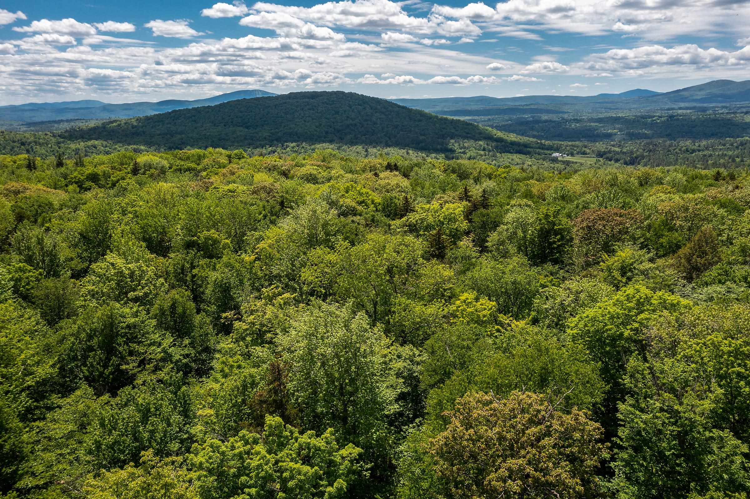 1809 Marsh Hill Road Andover, VT 05143 - Photo 13 of 28