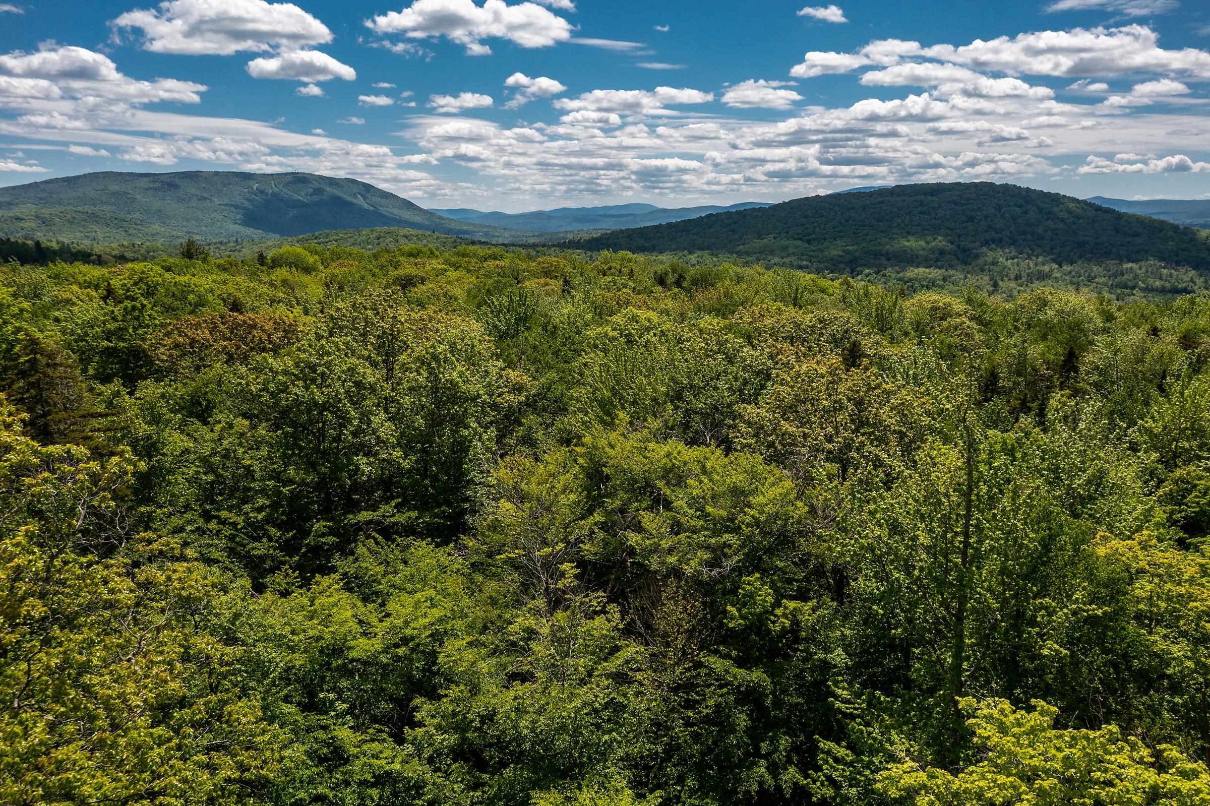 1809 Marsh Hill Road Andover, VT 05143 - Photo 14 of 28