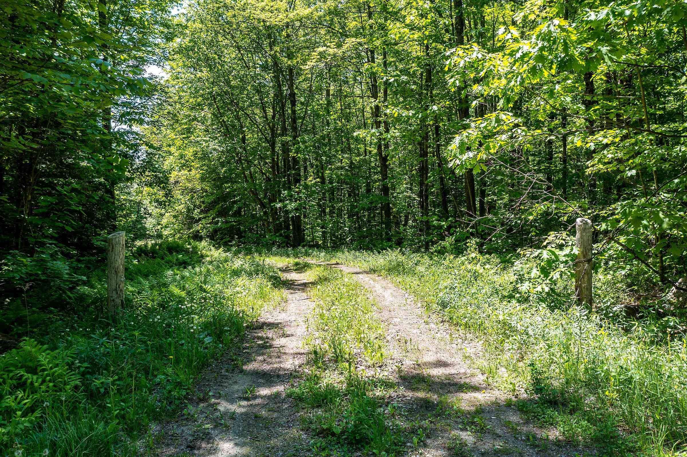 1809 Marsh Hill Road Andover, VT 05143 - Photo 22 of 28