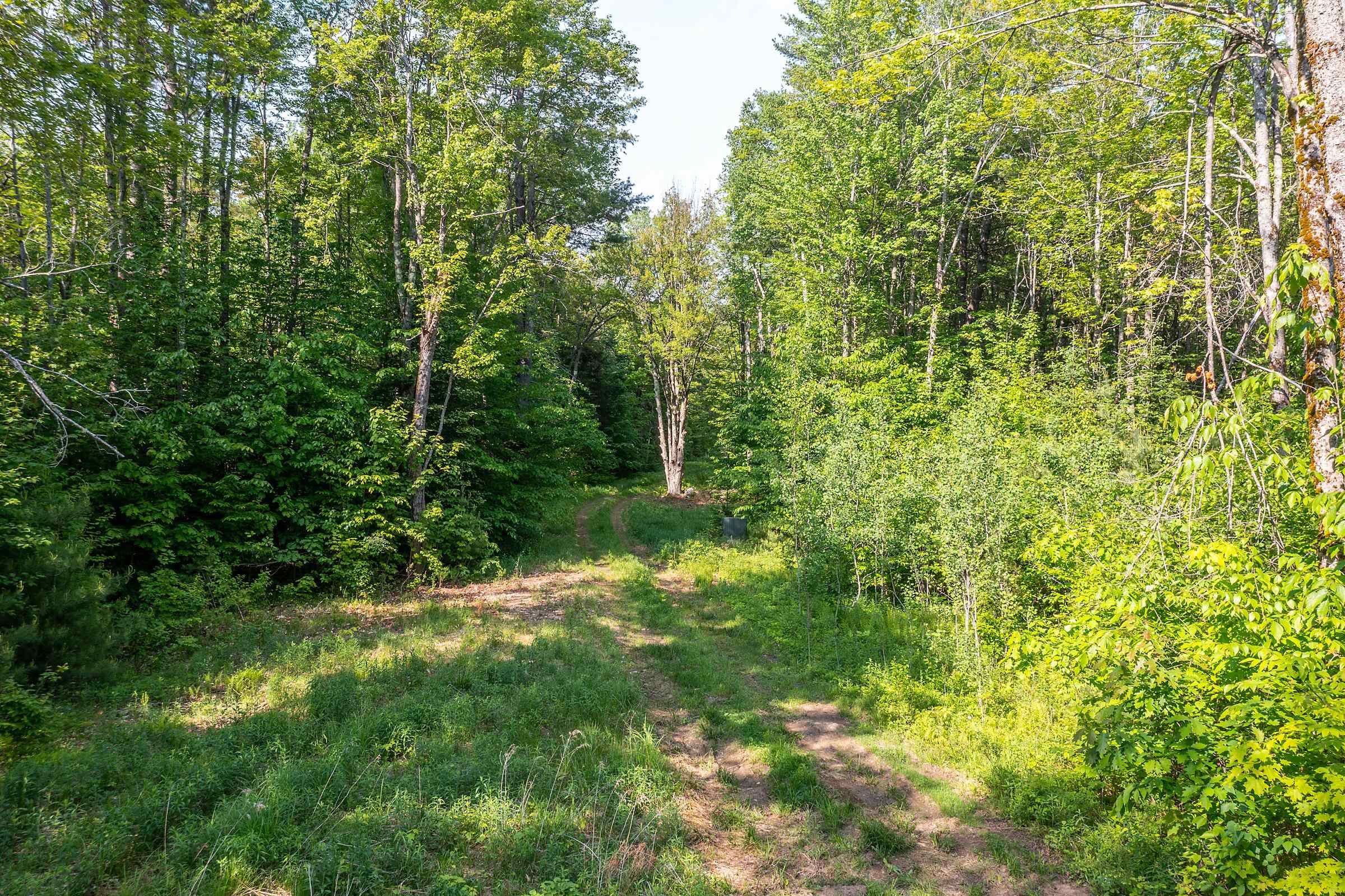 1809 Marsh Hill Road Andover, VT 05143 - Photo 24 of 28