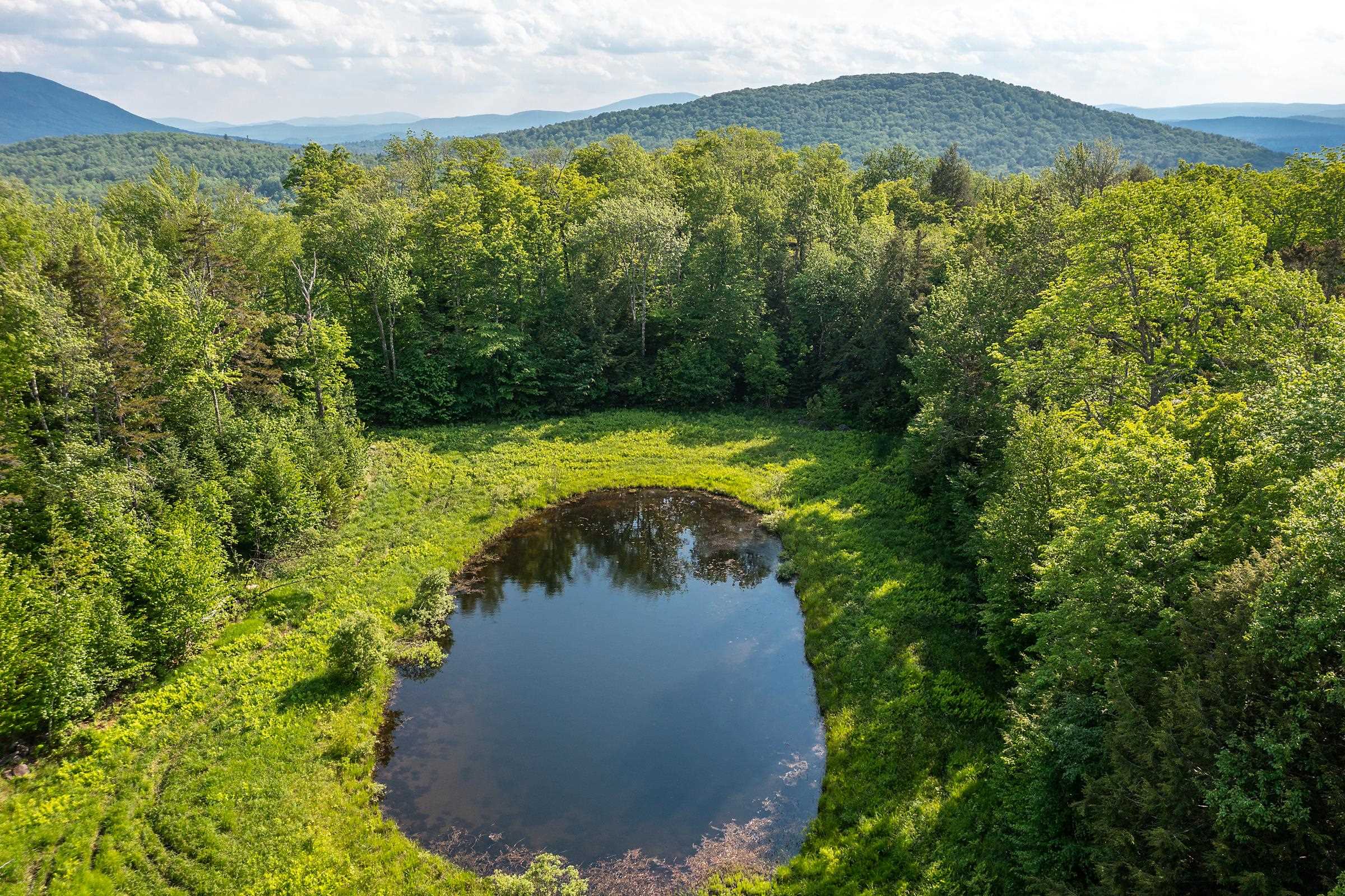 1809 Marsh Hill Road Andover, VT 05143 - Photo 4 of 28