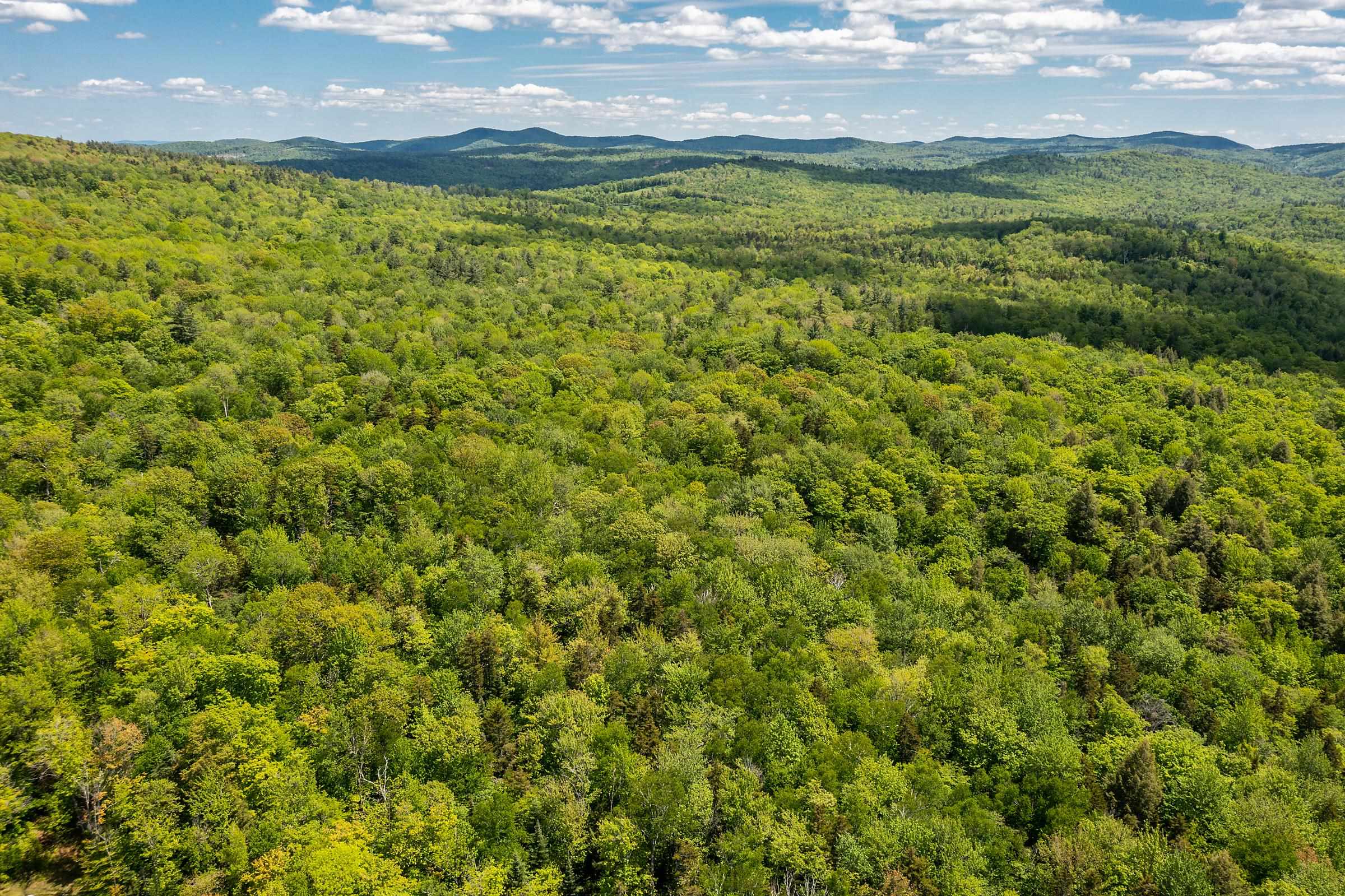 1809 Marsh Hill Road Andover, VT 05143 - Photo 9 of 28