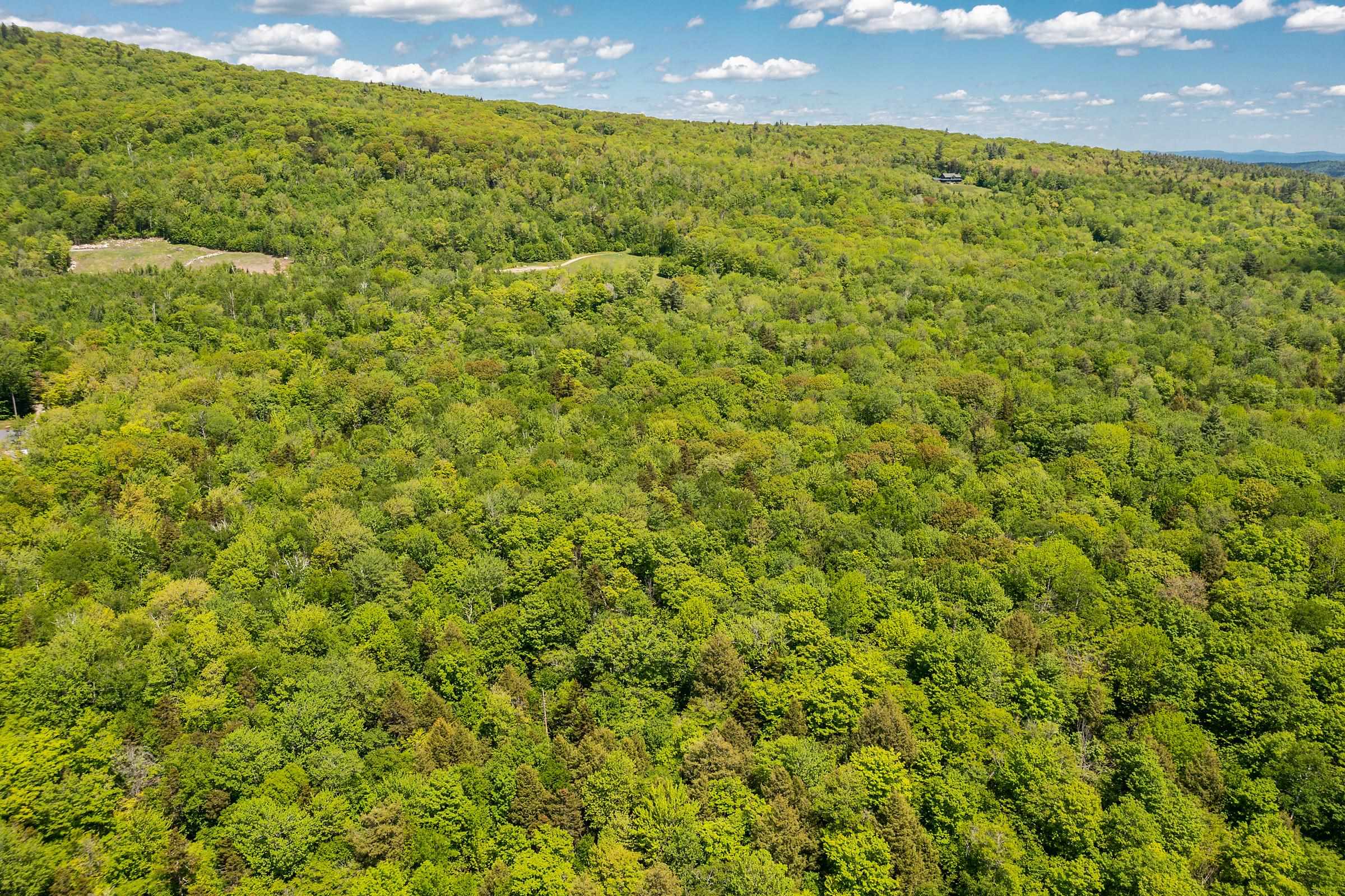 1809 Marsh Hill Road Andover, VT 05143 - Photo 10 of 28