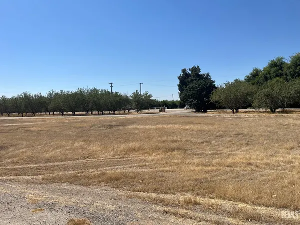 a view of a field with trees in the background
