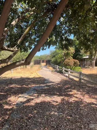 a view of a yard with a tree