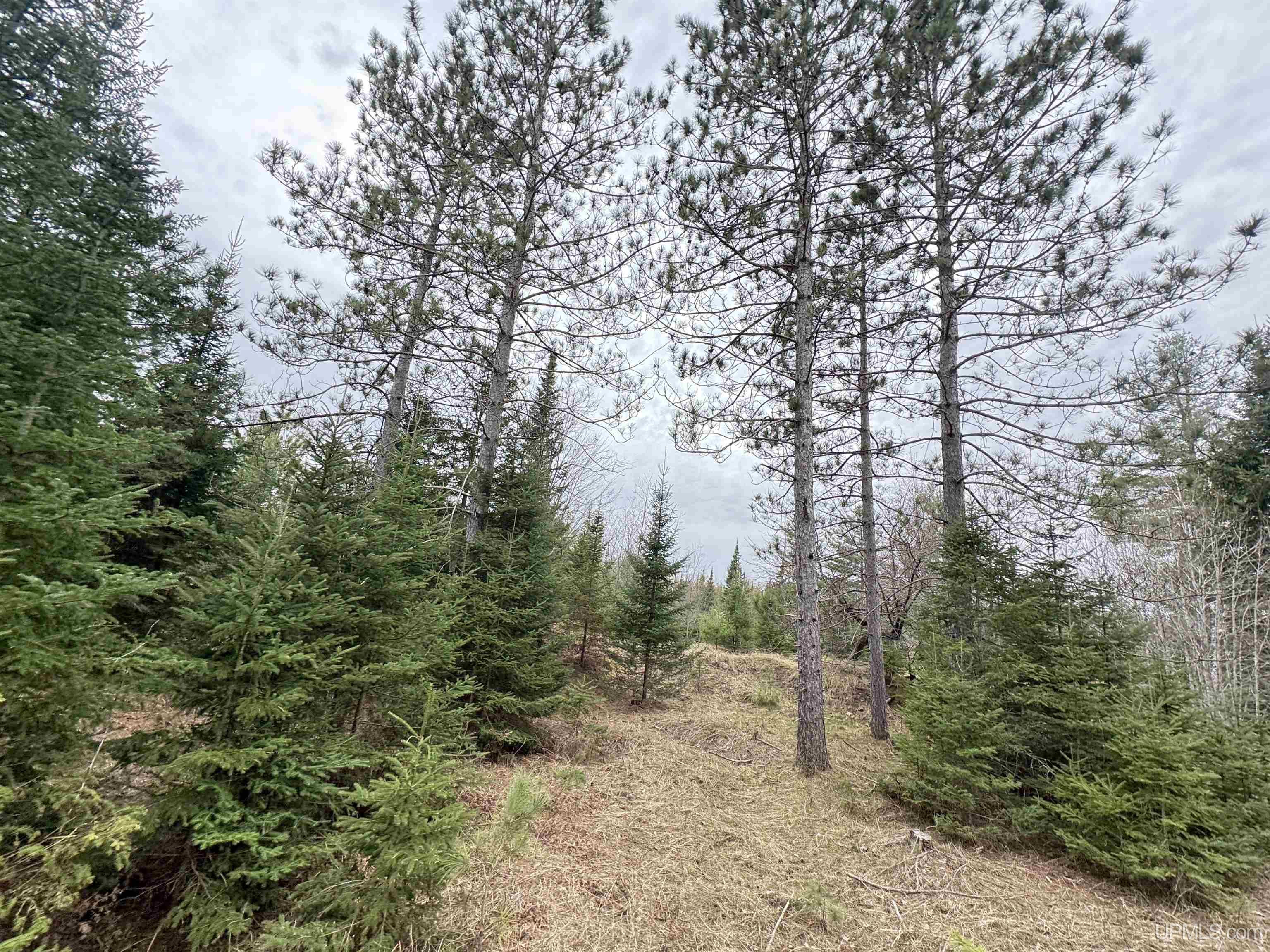 W4777 Lahay Road Daggett, MI 49821 - Photo 42 of 67