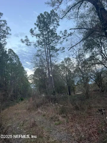 a view of a yard with trees in the background