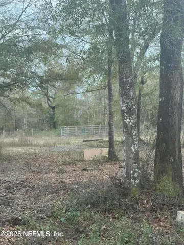 a view of a dry yard with trees