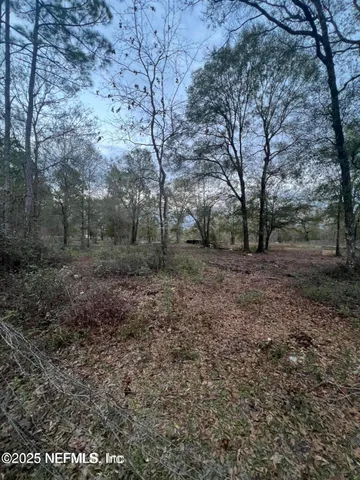 a view of a yard with trees