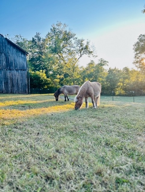 1552 Burt Road Woodbury, TN 37190 - Photo 20 of 28