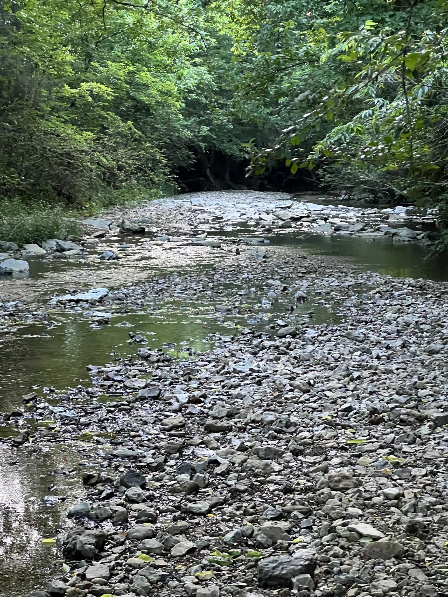 1552 Burt Road Woodbury, TN 37190 - Photo 21 of 28