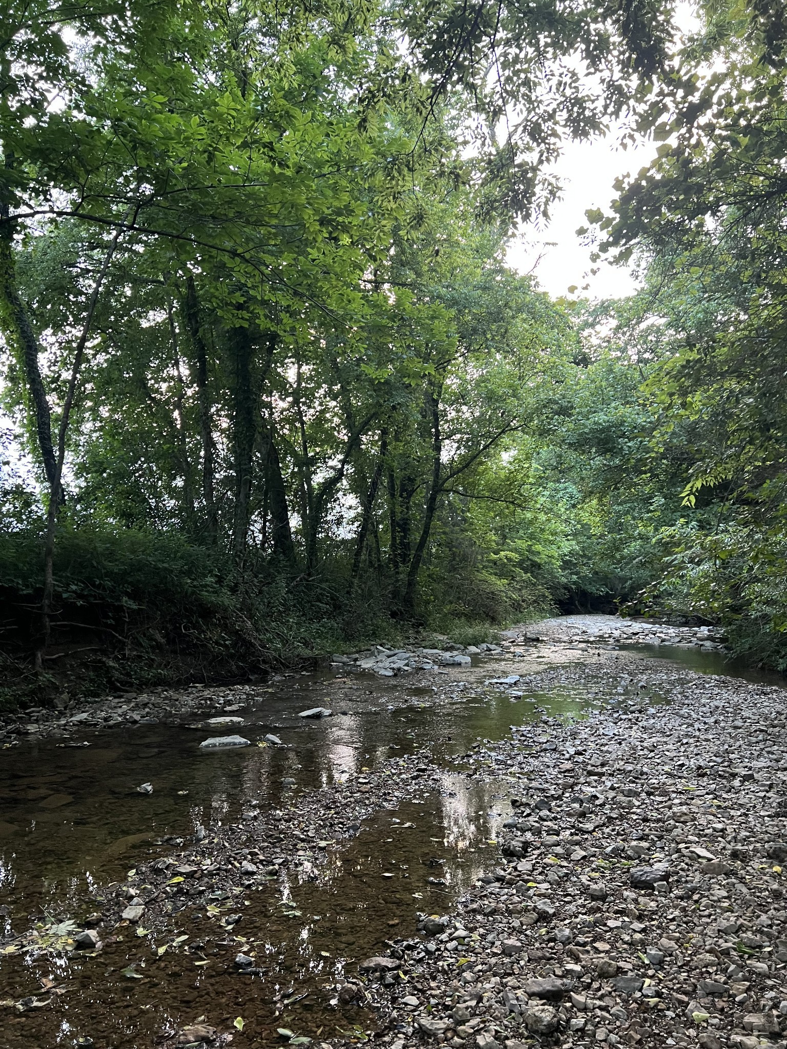 1552 Burt Road Woodbury, TN 37190 - Photo 22 of 28