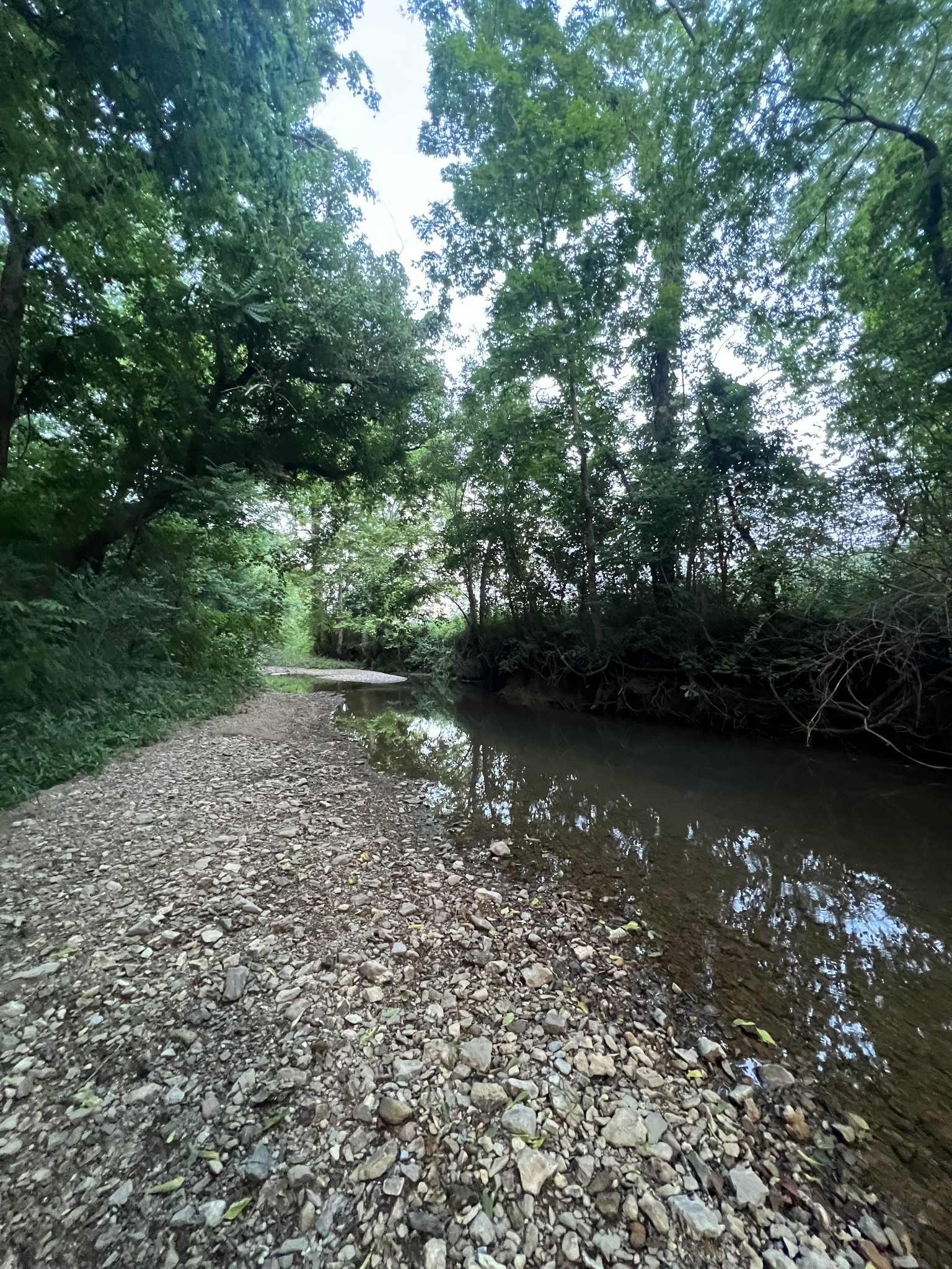 1552 Burt Road Woodbury, TN 37190 - Photo 23 of 28