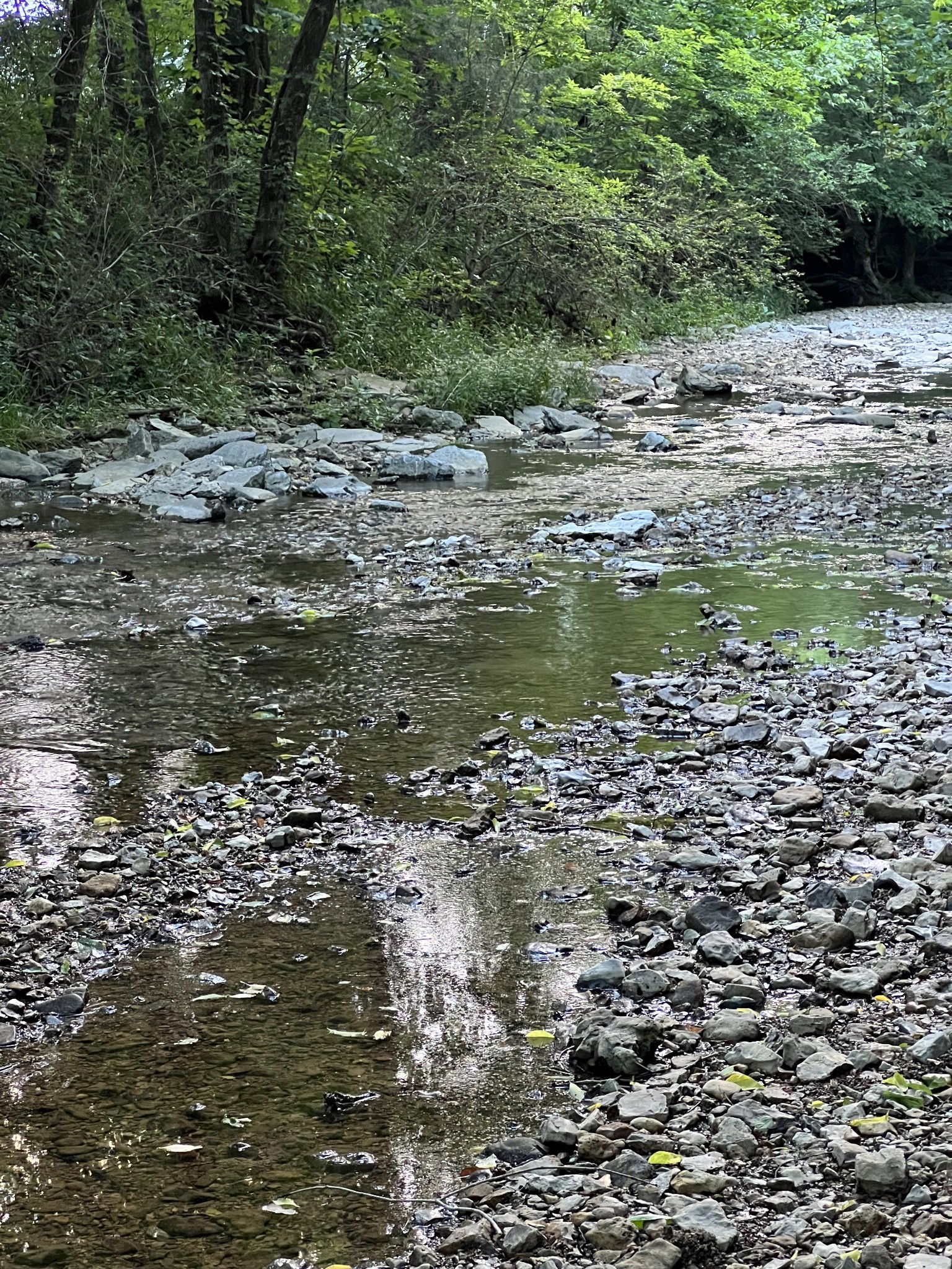 1552 Burt Road Woodbury, TN 37190 - Photo 24 of 28