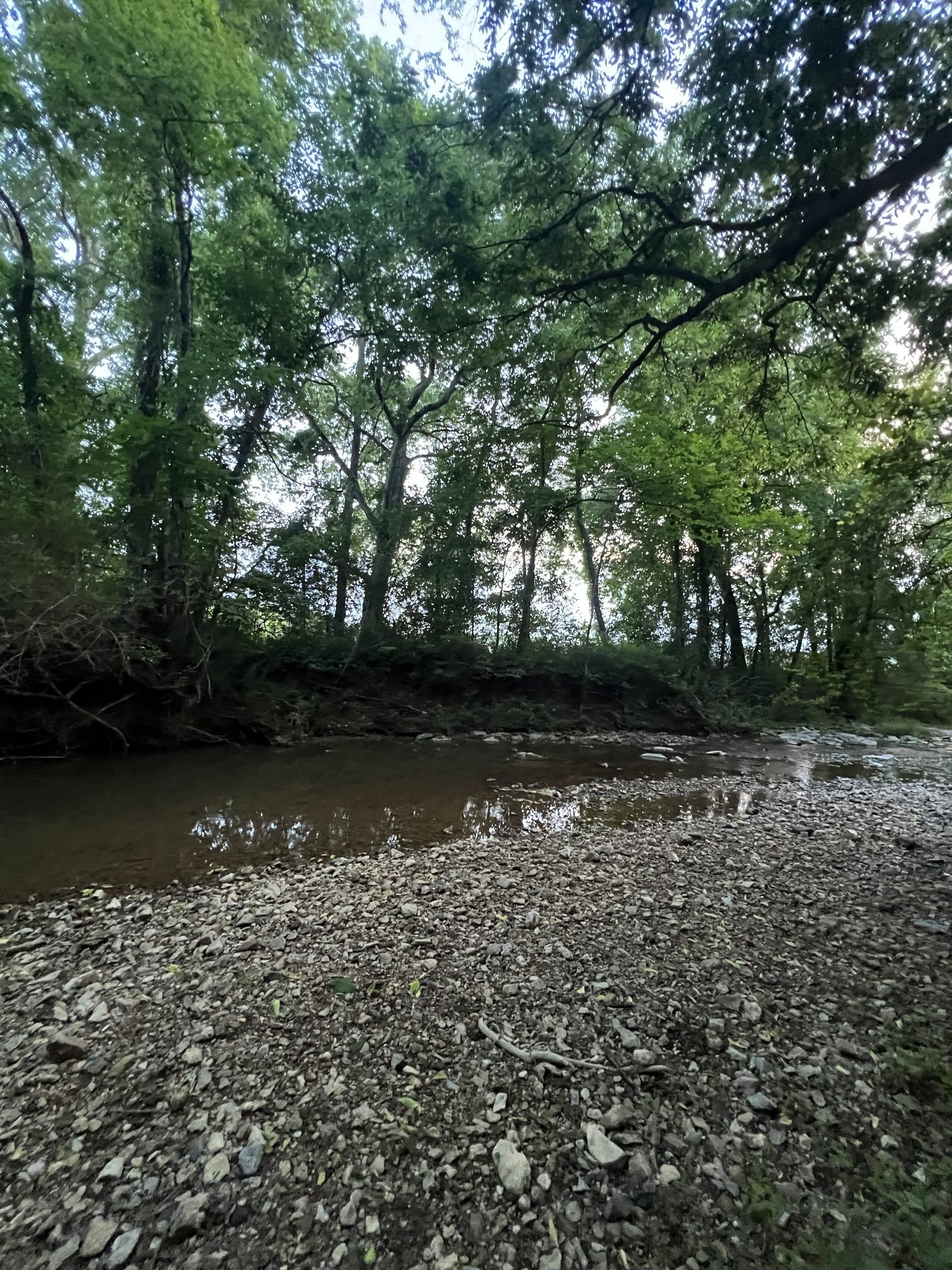 1552 Burt Road Woodbury, TN 37190 - Photo 25 of 28