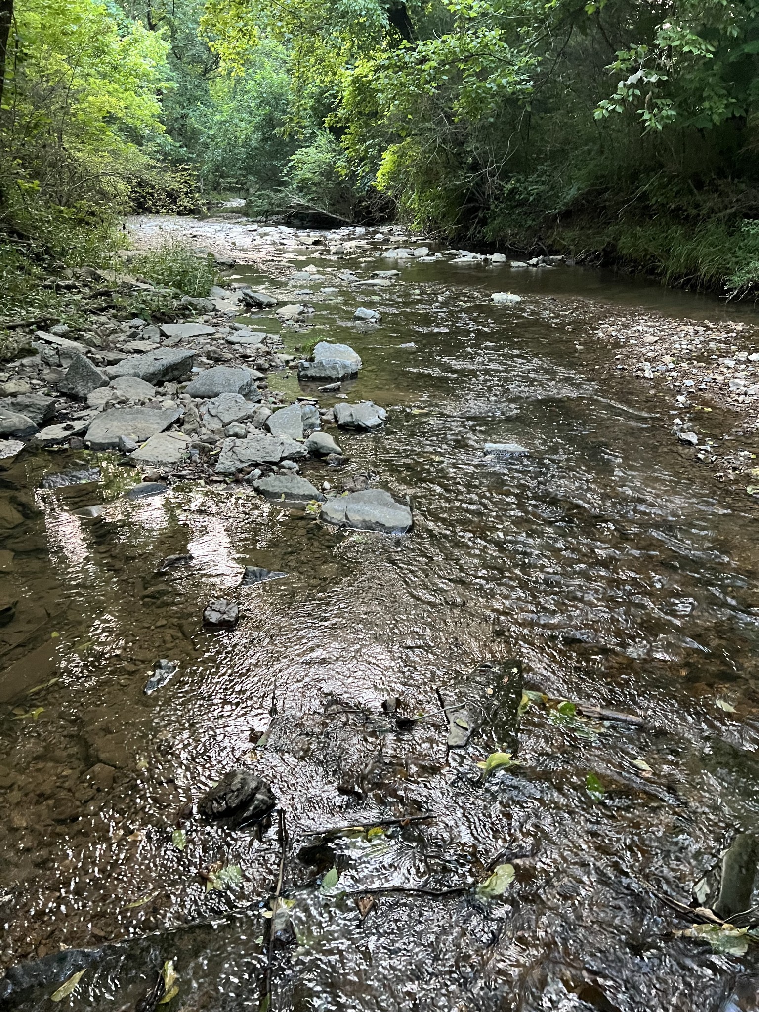 1552 Burt Road Woodbury, TN 37190 - Photo 26 of 28