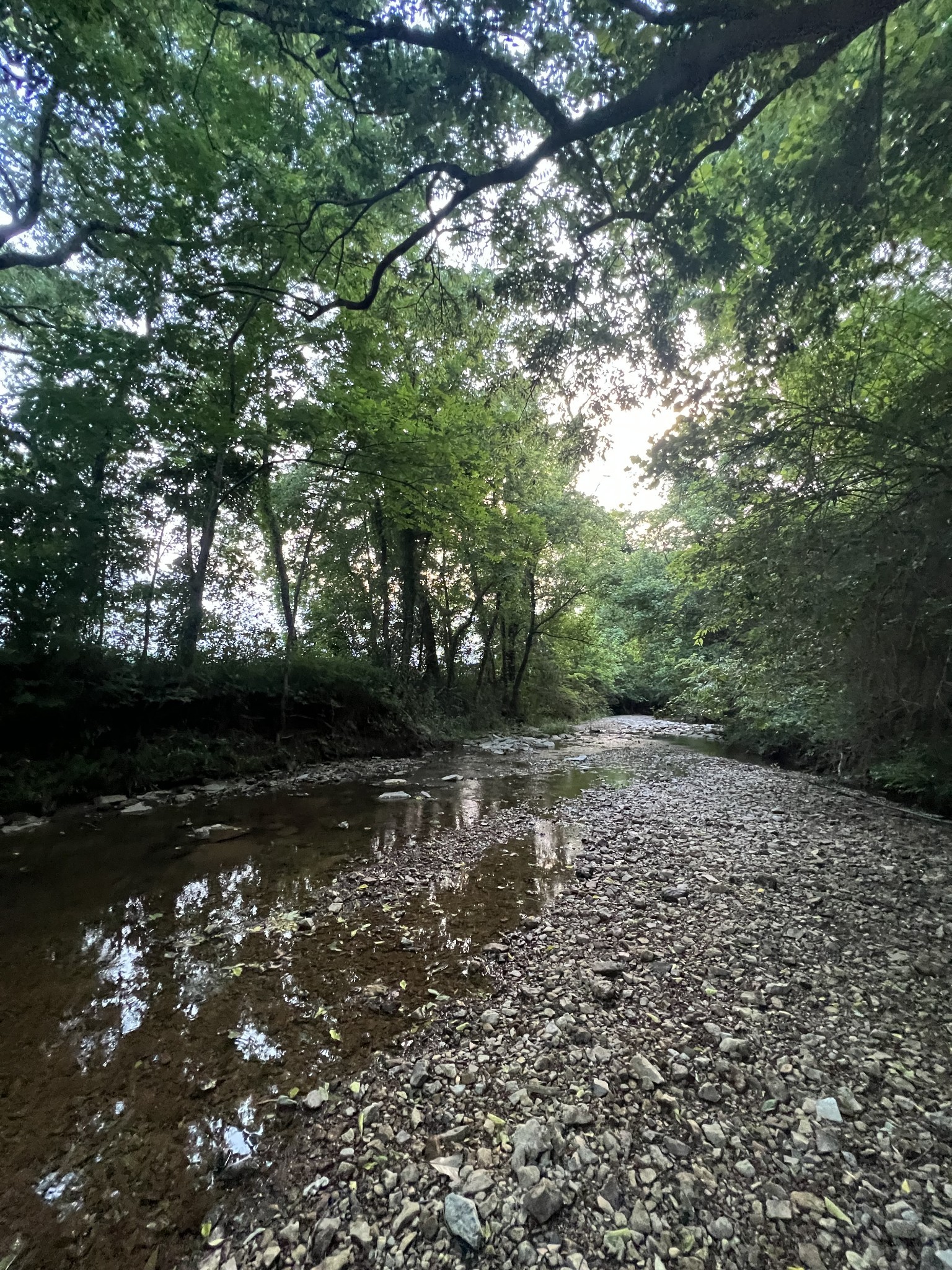 1552 Burt Road Woodbury, TN 37190 - Photo 27 of 28