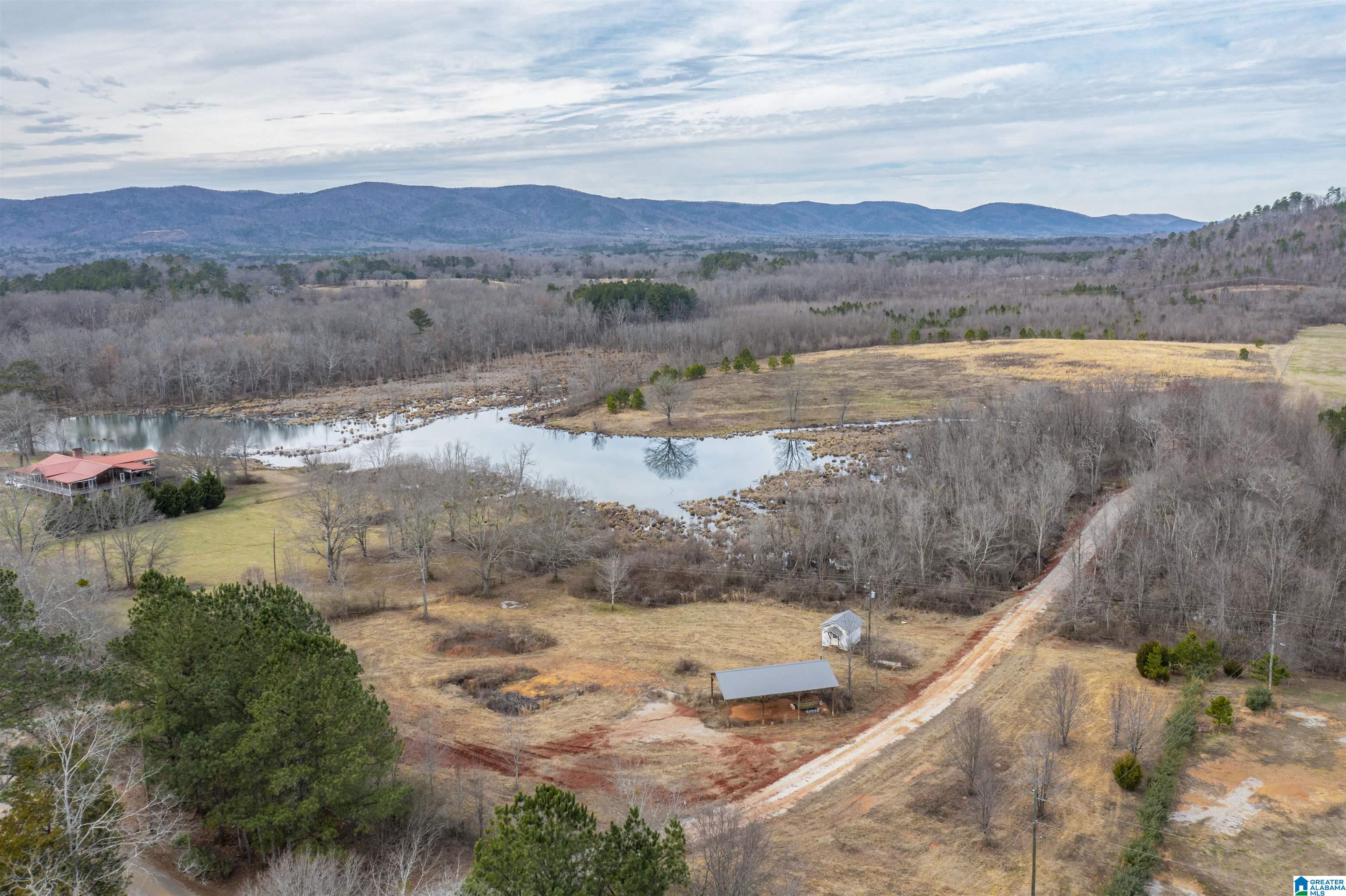 1619 Old Downing Ml Road, Unit 40 03 ACRES Anniston, AL 36207 - Photo 8 of 29